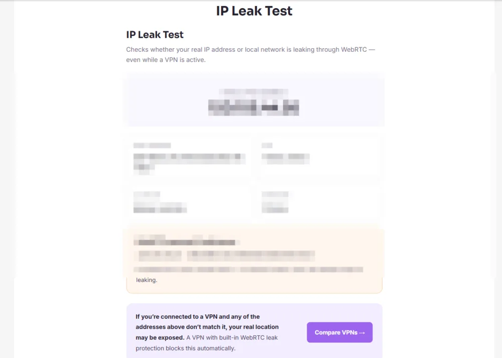 IP leak test before connecting, showing baseline connection details with identifying information blurred